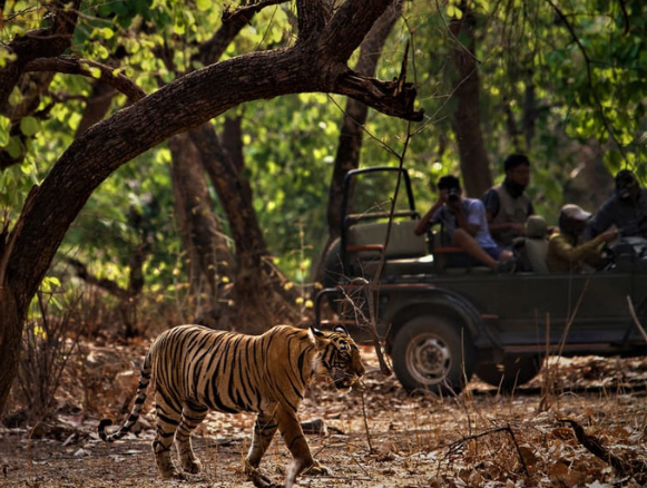Uttarakhand Tour Package